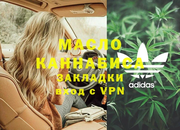 хмурый Гусев