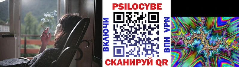 Псилоцибиновые грибы Cubensis  Железноводск 