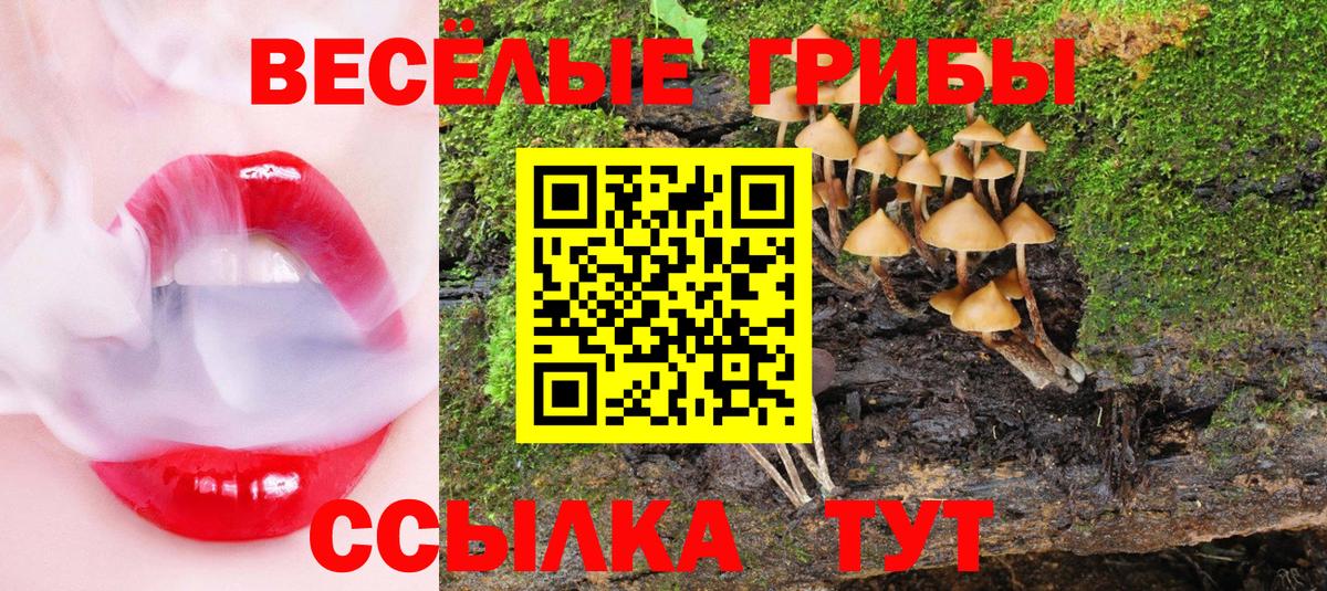 купить закладку  Галлюциногенные грибы ЛСД  Вход с VPN  Железноводск 